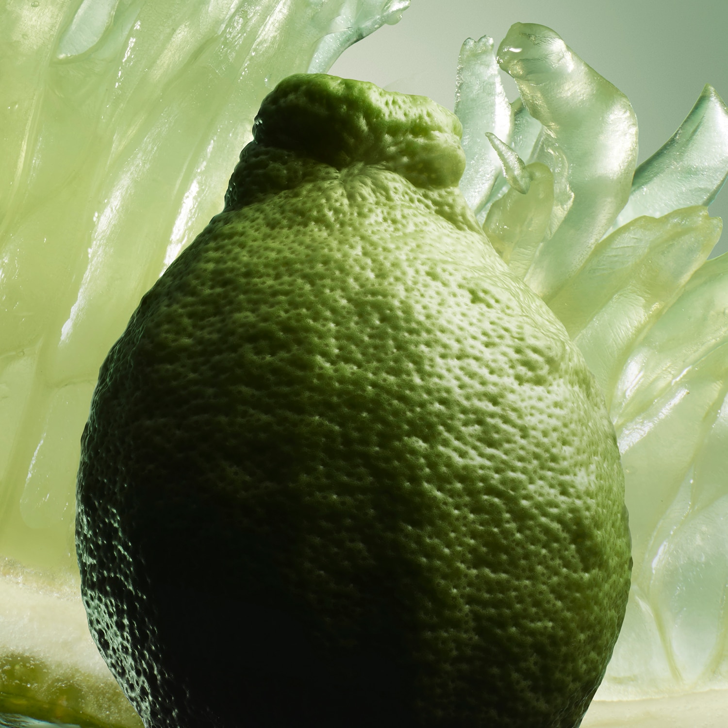 PARADIGME EAU DE PARFUM